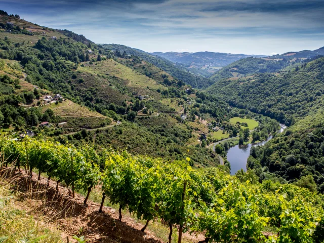 Panorama sur la Vallée du Lot depuis Le Fel